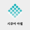 시큐어아셀 프로필