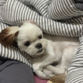내사*****_썸네일