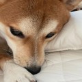 에물*****_썸네일