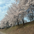 찐바*****_썸네일