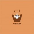 ACHACHA 프로필
