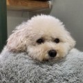 저돌*****_썸네일