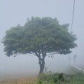 FL*****_썸네일