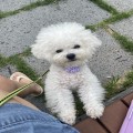 오토*****_썸네일