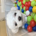 ag*****_썸네일