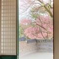 꿇어*****_썸네일
