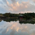 도도*****_썸네일