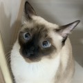 예서*****_썸네일