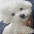 광고*****_썸네일