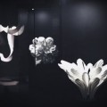 V******_썸네일