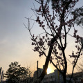 콩부*****_썸네일