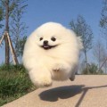 베인*****_썸네일