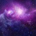 K9*****_썸네일