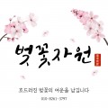 벚꽃*****_썸네일