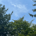 류성*****_썸네일