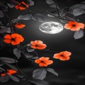 신점신우 프로필