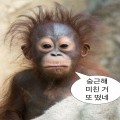 태봉*****_썸네일