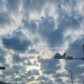 해******_썸네일