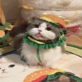 너그*****_썸네일