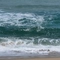 NC*****_썸네일