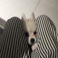 Ma*****_썸네일