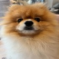 달리*****_썸네일