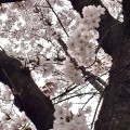 삼파*****_썸네일