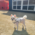 마수*****_썸네일