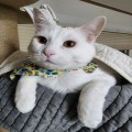 빛이*****_썸네일