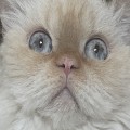 김피*****_썸네일
