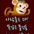 호갱*****_썸네일