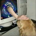 름******_썸네일