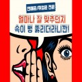 장학량 프로필