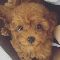 예림*****_썸네일