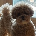 구리*****_썸네일