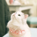Kw*****_썸네일