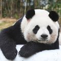 송군*****_썸네일