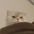 낯타*****_썸네일