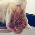 니******_썸네일