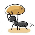 개미*****_썸네일