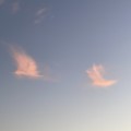슈카*****_썸네일