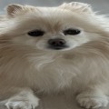 st*****_썸네일