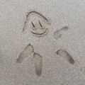 빈******_썸네일