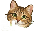 나비*****_썸네일