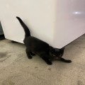신진*****_썸네일