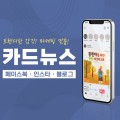 따사로운디자이너 프로필