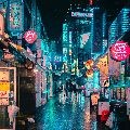 성숙*****_썸네일