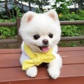 앨리*****_썸네일