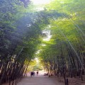 효******_썸네일