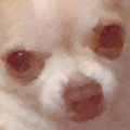 번******_썸네일